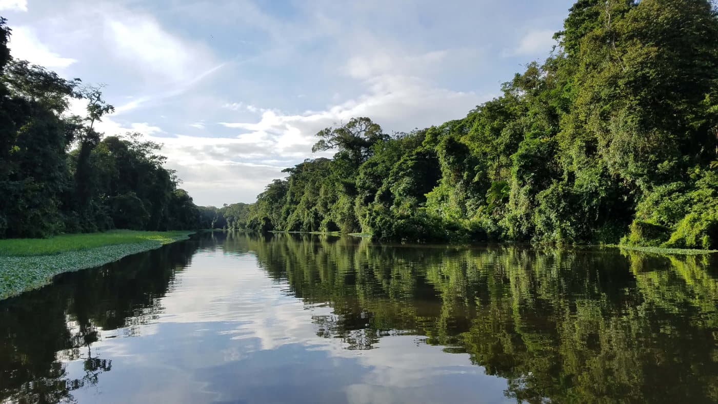 A wide river reflecting dense green rainforest and sky